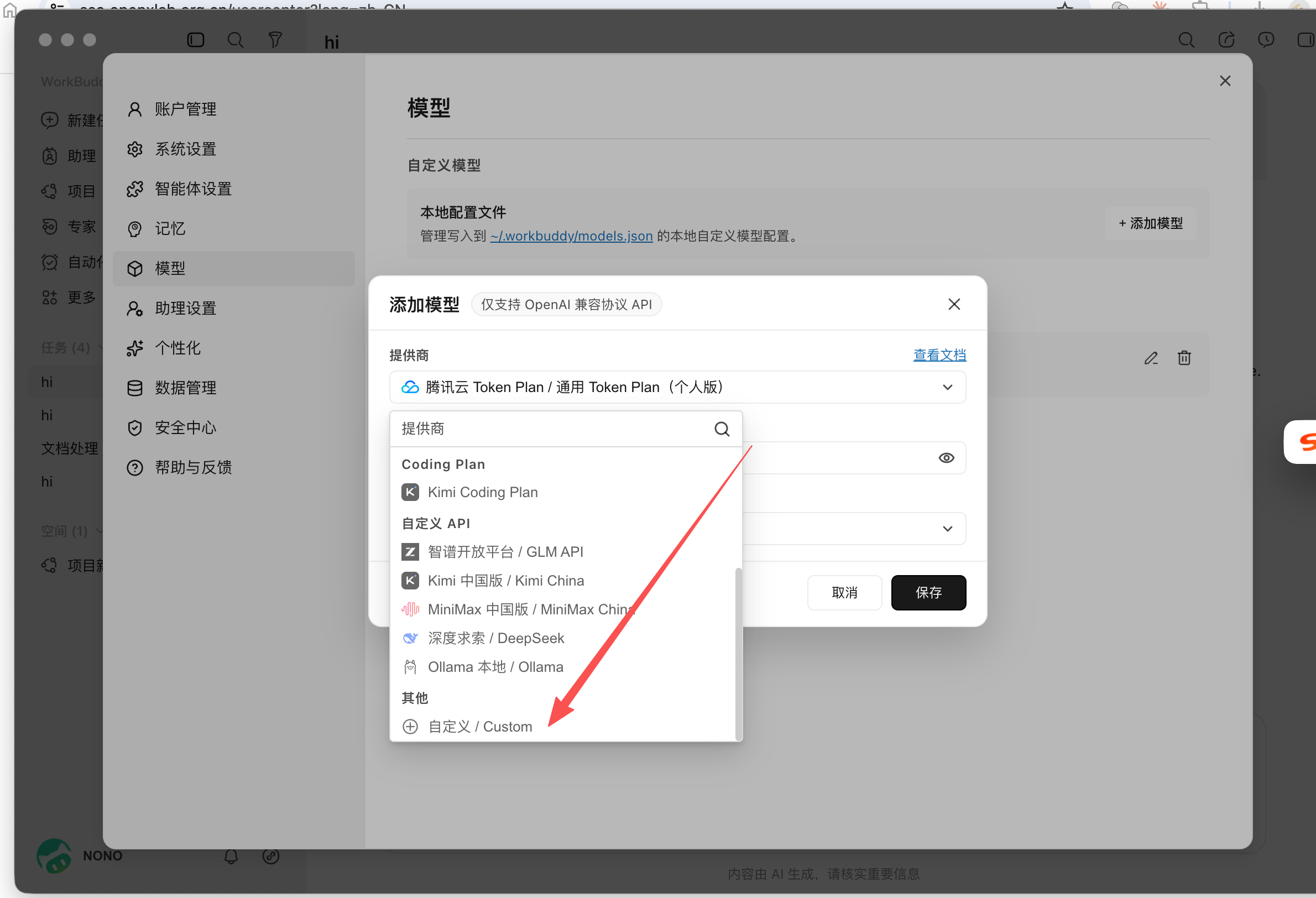 选择自定义提供商